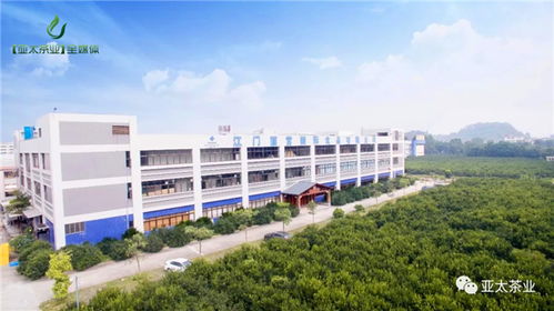 丽宫食品登陆资本市场,打造陈皮大健康产业强劲引擎