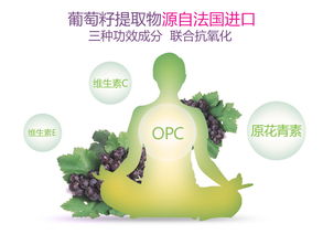 汤臣倍健 葡萄籽维生素c加e片价格,说明书,作用,效果,哪里买 康爱多掌上药店