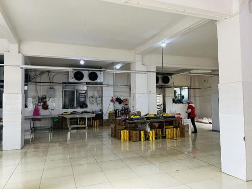 赣州市年顺食品厂 关注食品安全 共享健康生活