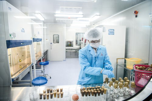 完美公司 以打造健康产品为核心 助力健康中国建设