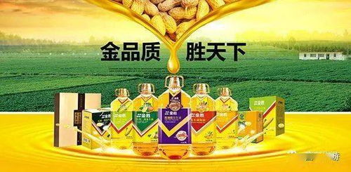 莒南特产 莒南花生,花生世界 走进金胜花生小镇,开启 花生 研学之旅 中心