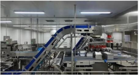 践行双碳战略，泰森打造绿色环保的智慧工厂，引领食品行业健康新风尚
