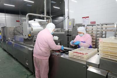 诸城预制菜 健康食品产业的新焦点