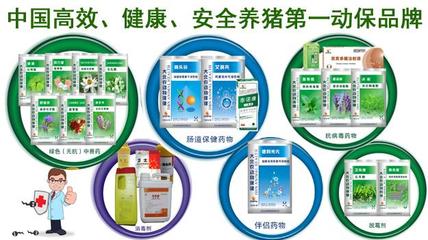 大北农动保产品 高效、健康、安全的畜牧健康守护者