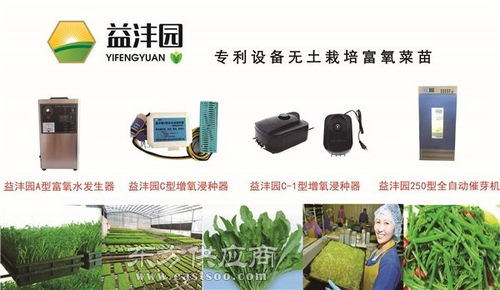 探秘晋中益沣园健康蔬菜工厂 科技与自然的完美融合